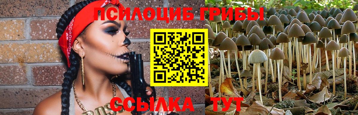Псилоцибиновые грибы Psilocybe  Вход с VPN  Серов 